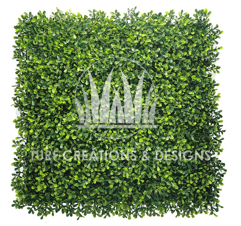 01. TCD Boxwood Ivy- Cocoplum Cocoplum Artificial Hedge