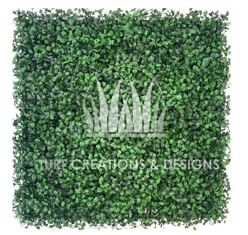 02. TCD Boxwood Ivy- Euclid Euclid Artificial Hedge