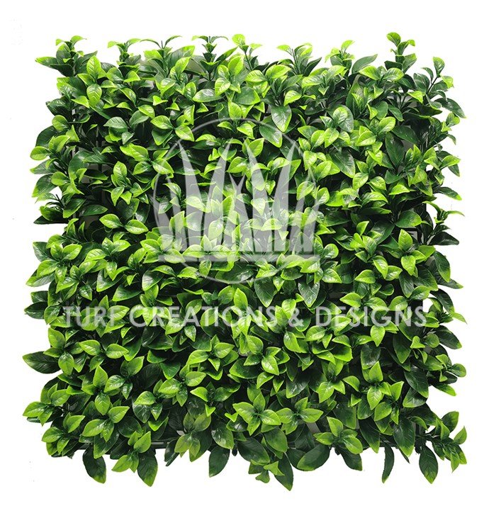 07. TCD Ivy- Maple Maple Artificial Hedge
