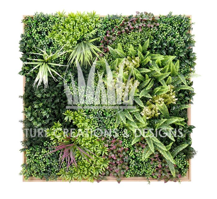 13. TCD Ivy- Tropical Tropical Artificial Hedge