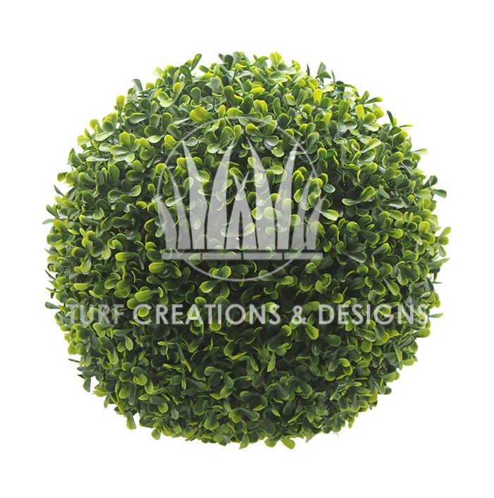 15. TCD Topiary Ball- Cocoplum Cocoplum Topiary Ball